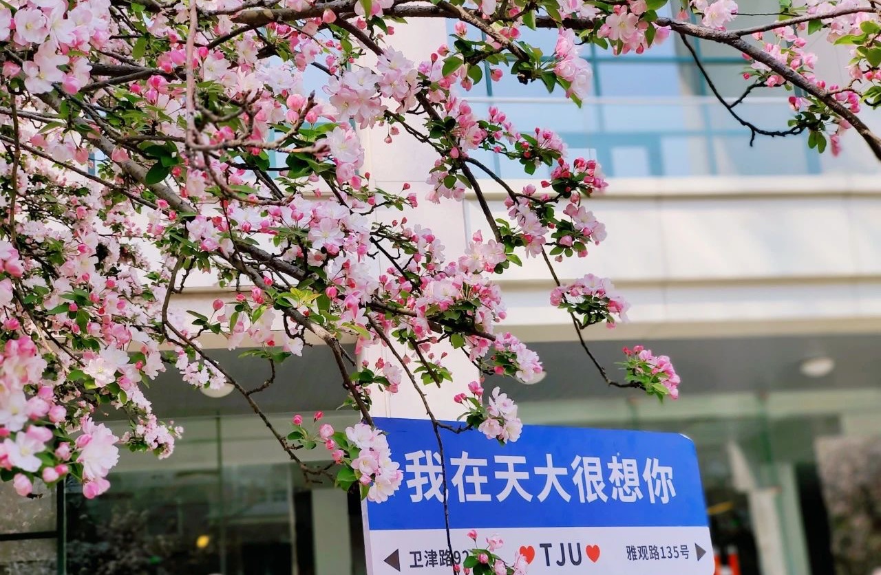 图片7