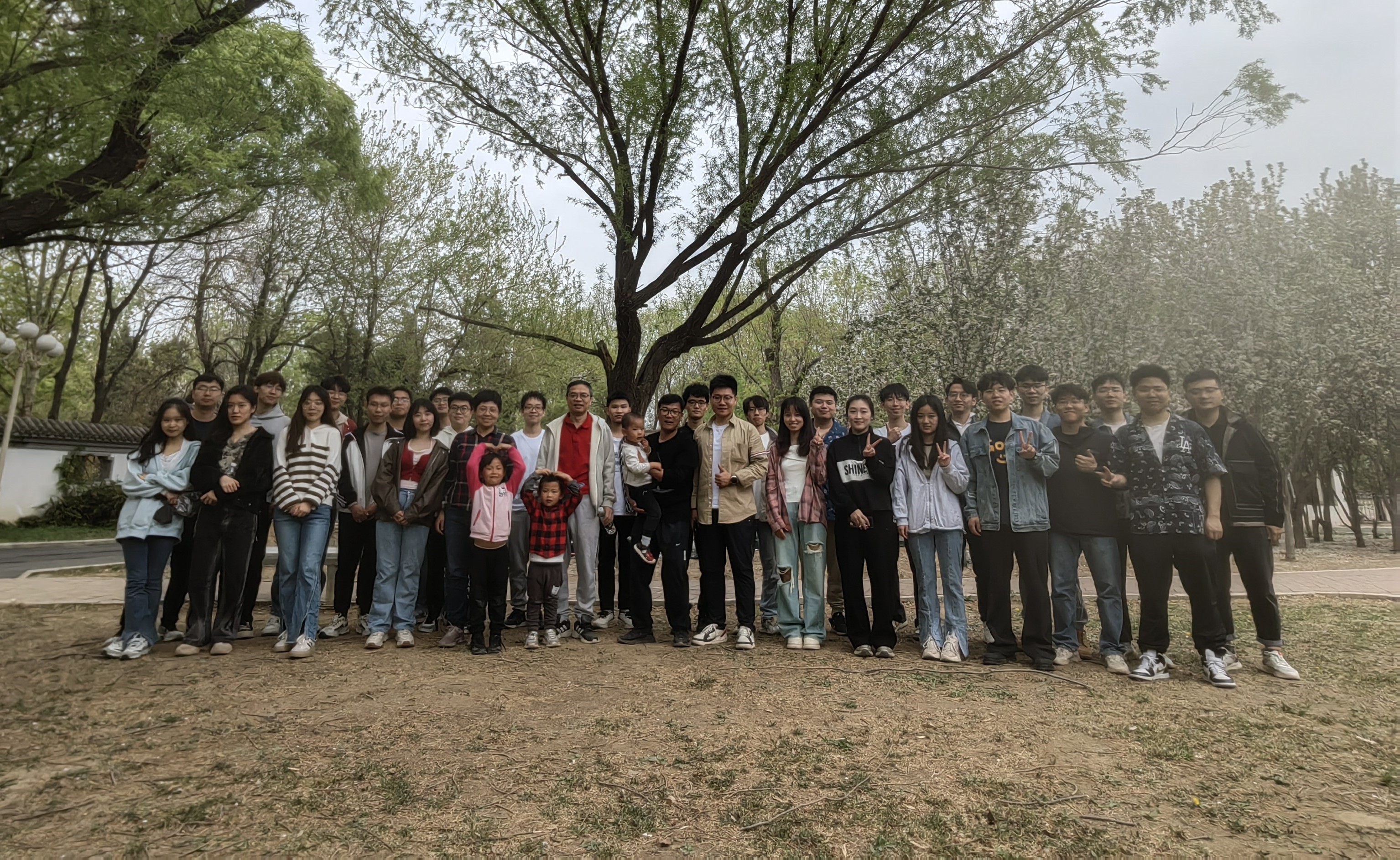 图片8